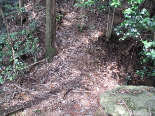 ��열�R�R��