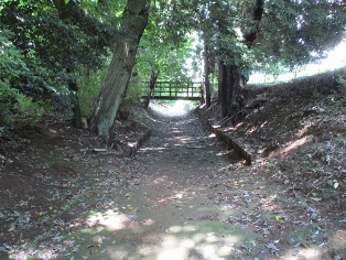 �ԎR��i�ԎR�w���j