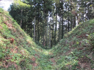 �����i���쎁�w���j