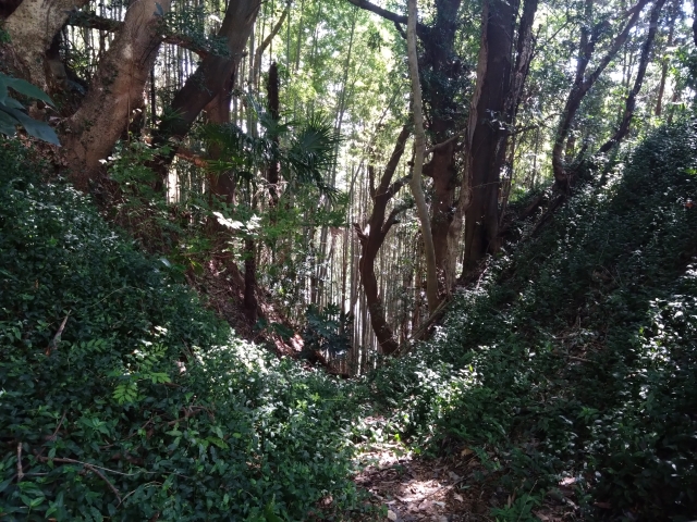 �����R��