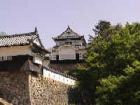 �������R��