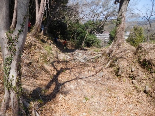 �y��a�c��