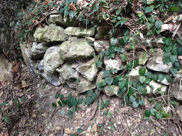 �]�����É���