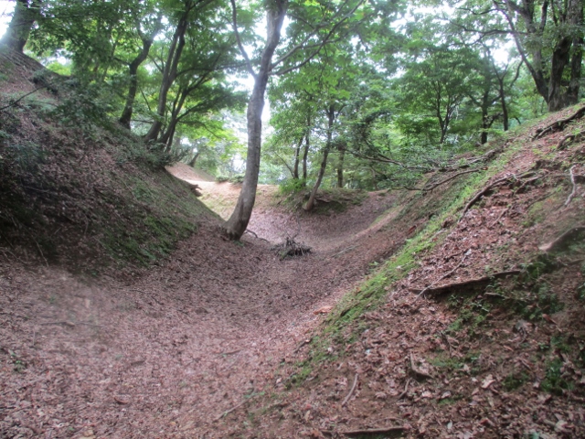 ���ה���