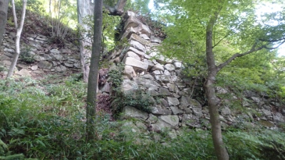 �����R���