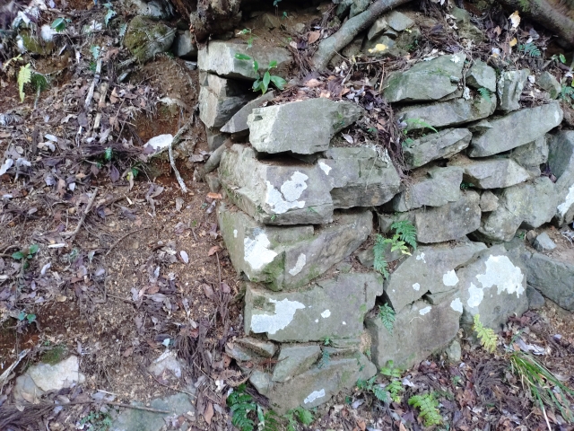 �����q��