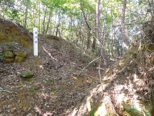 ������R��