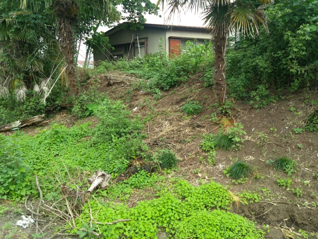 �_���J�ȗ�