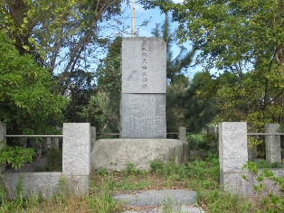 �x�V������