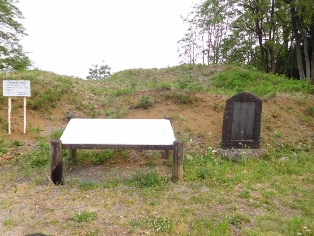 �ɓގ��w��