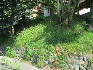 �ɉ��쎁����