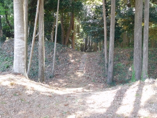 �_�{����