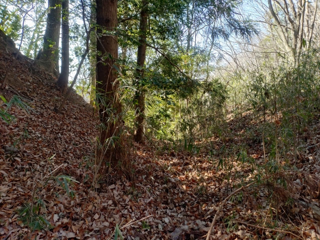 ��얀��̏�