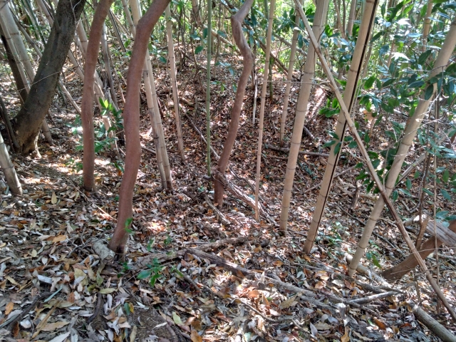 ��R�c�t��