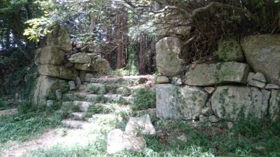 �ω�����