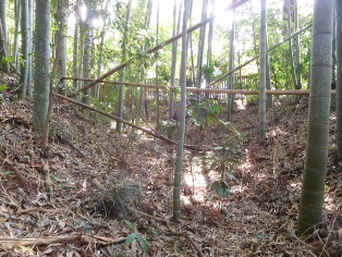 �ω�����