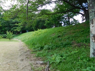 ���R����