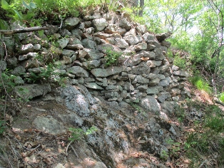 �P�����̏�