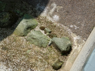 �k�m����