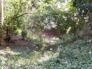 ������i�k���|��j