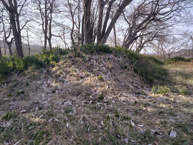 �����w��