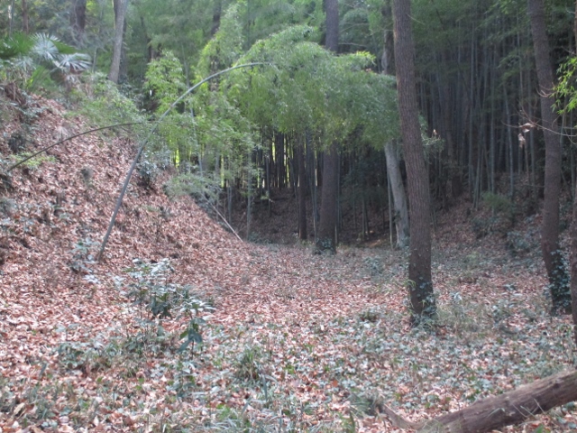 �v���c��