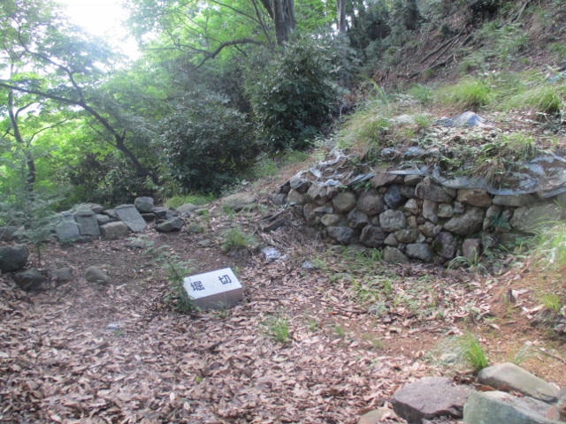 ���`���g��