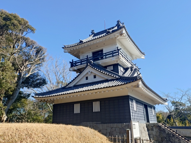 �v������