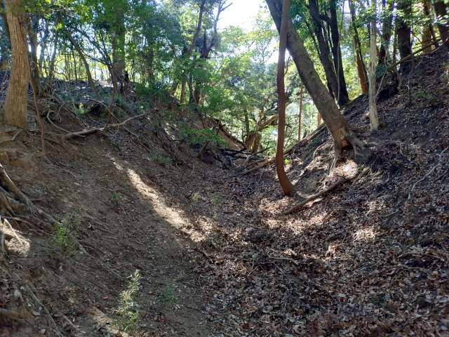 �v�����Ï�