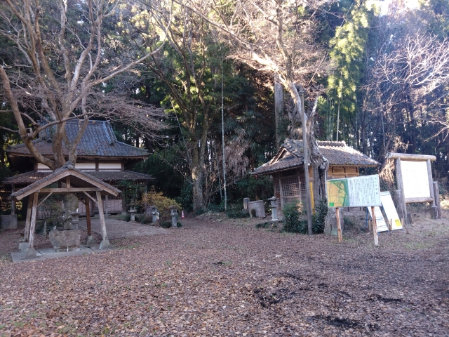 �O������