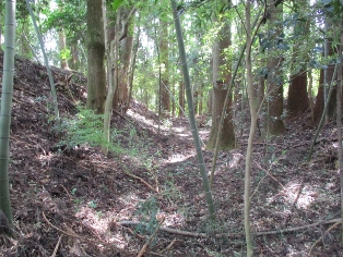 �^�؏�i����j