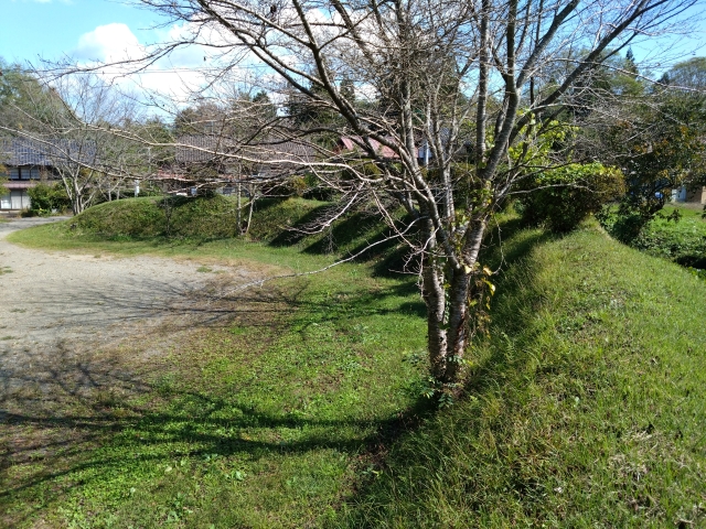 �q�V����