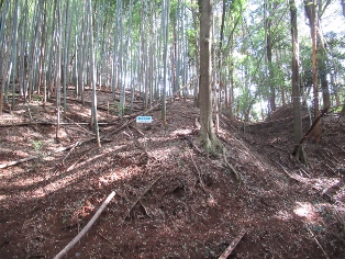 �^���q��i�ԕǏ�j