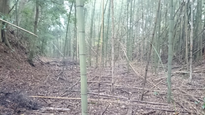 �^���J�v�Q��