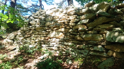 �����Ï�