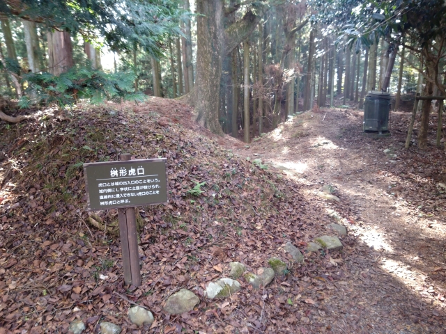 �����R��