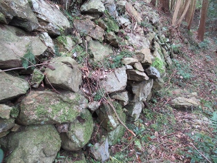 ���Z���R��