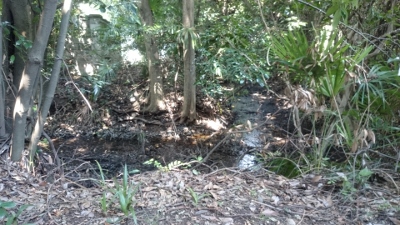 �������\�Y�L����