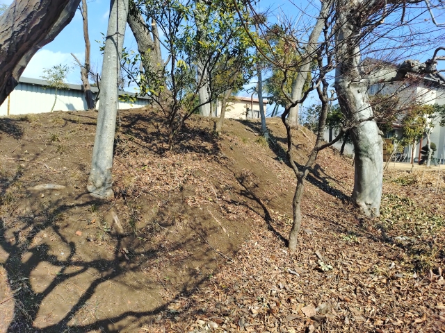 �{������