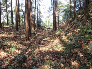 �јC�����J��