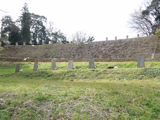 �{���q��