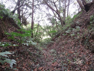 �i�R��i���R��j