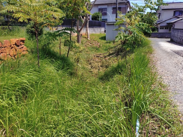 ���R�Ɣ͊�