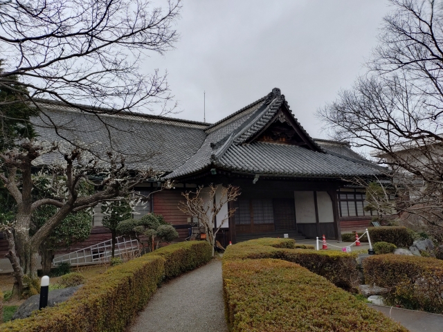 �����s�w��