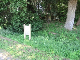 �ޗǗ��w��