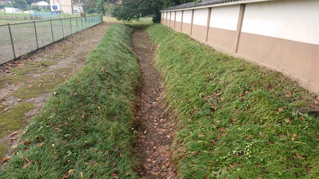 ���͗���