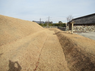 �����w���i������j