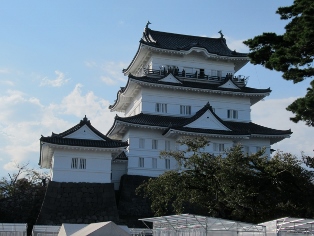 ���c����