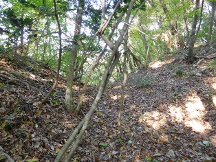 �����염�J��