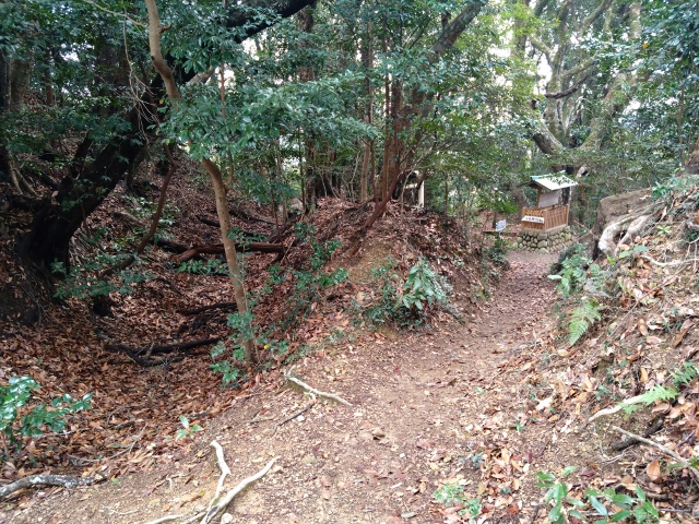 ���}�R��